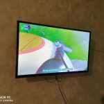 LED ТВ "Витязь"